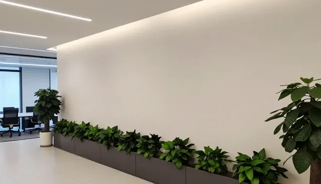 日常诊疗中如何有效提升健康管理？